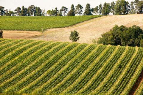 Le Gers,paysages merveilleux