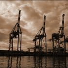 "Le giraffe" del porto di Genova