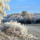 Le givre