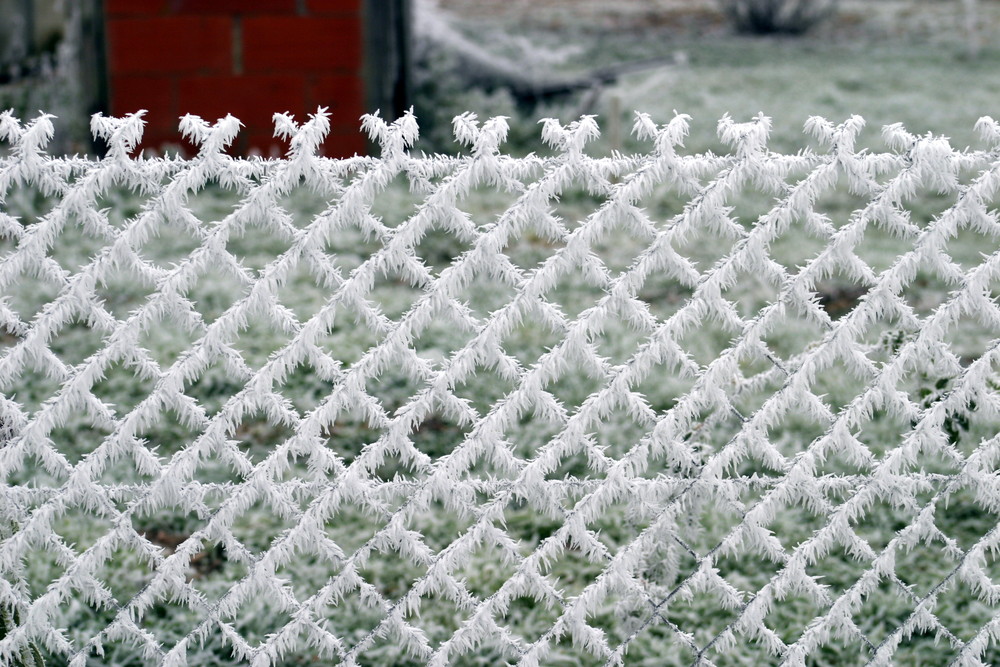 le givre .