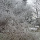 Le givre a remplacé les illuminations