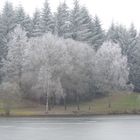 Le givre habille les arbres.