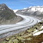 le glacier d'aletsch