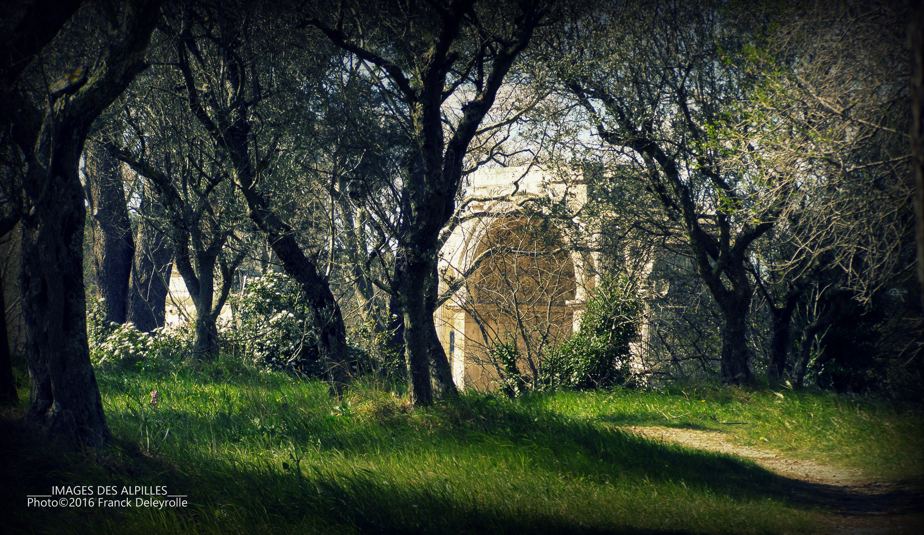 Le Glanum (Site antique) (3)