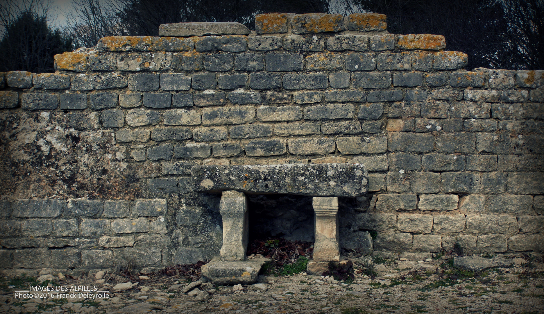 Le Glanum (St Rémy-de-Provence)