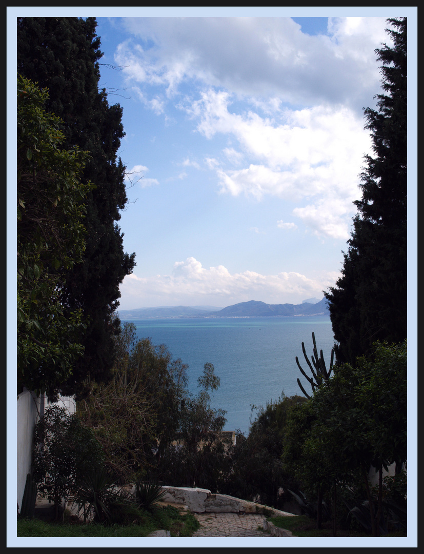 Le golfe de Tunis vu des jardins de Sidi Bou Saïd