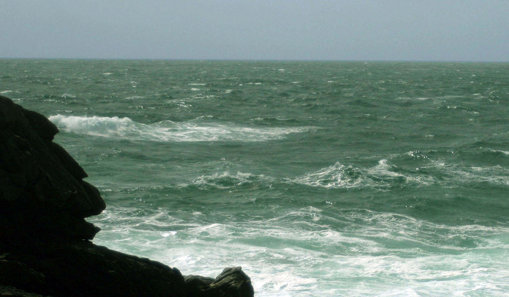 le gorille et la mer