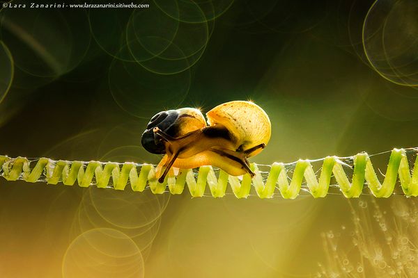 ...le goût étrange et doux de la peau de mon amour...