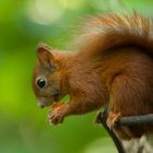 Le Gourmand est toujours là !