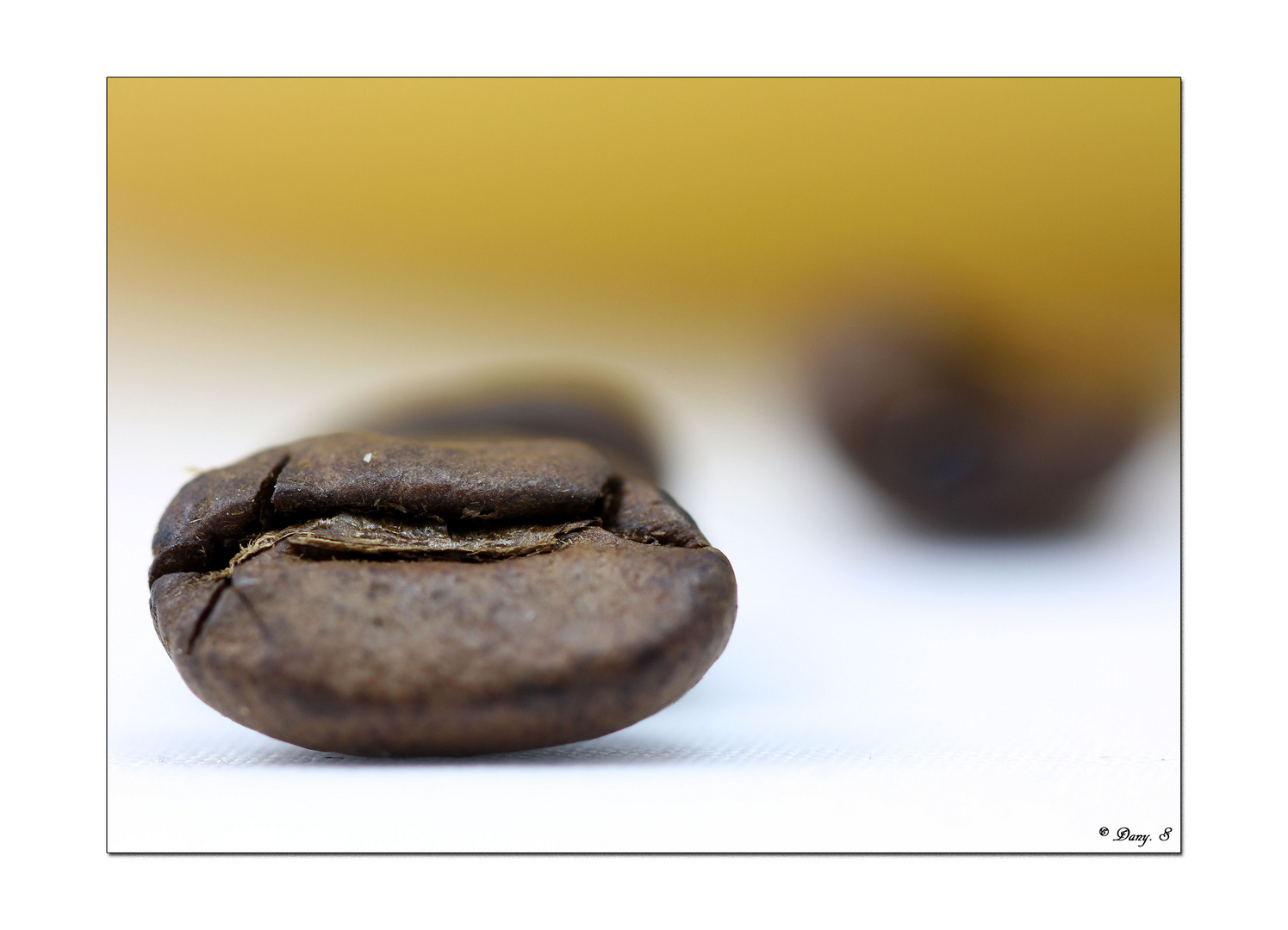 Le grain de café