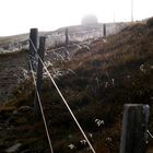 Le Grand Ballon 2