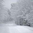 le grand blanc des vosges