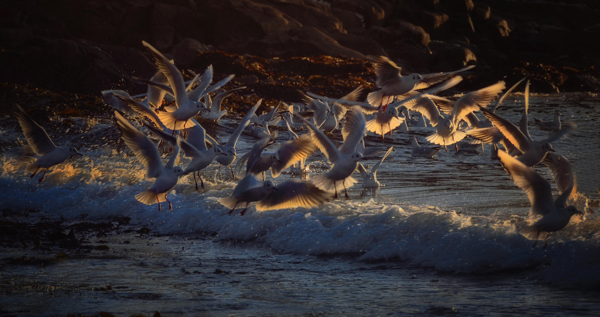 Le grand bordel du bord de mer