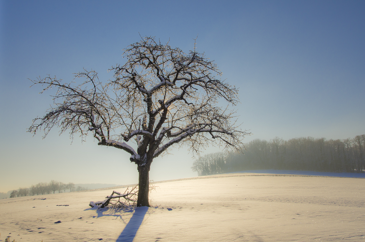 Le grand calme blanc