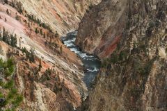 " Le grand canyon de la rivière Yellowstone "
