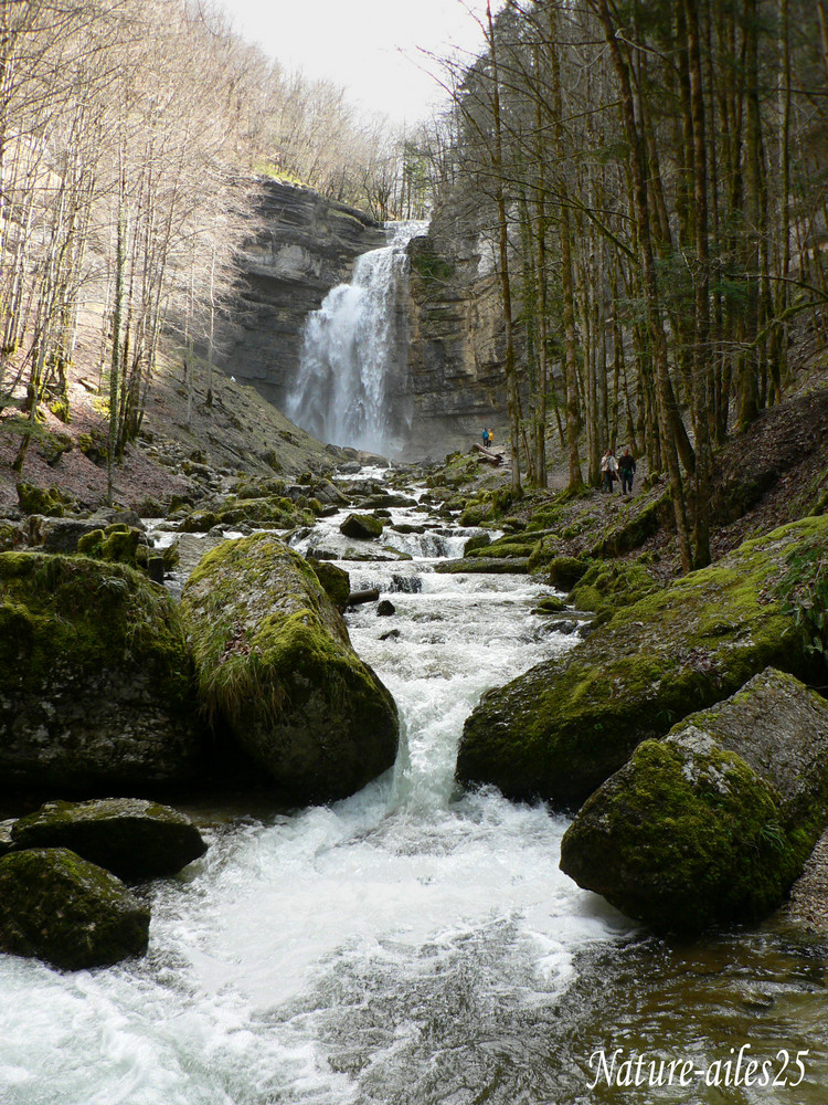 Le Grand Saut ; de Nicolas DONNET 