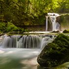 Le grand saut