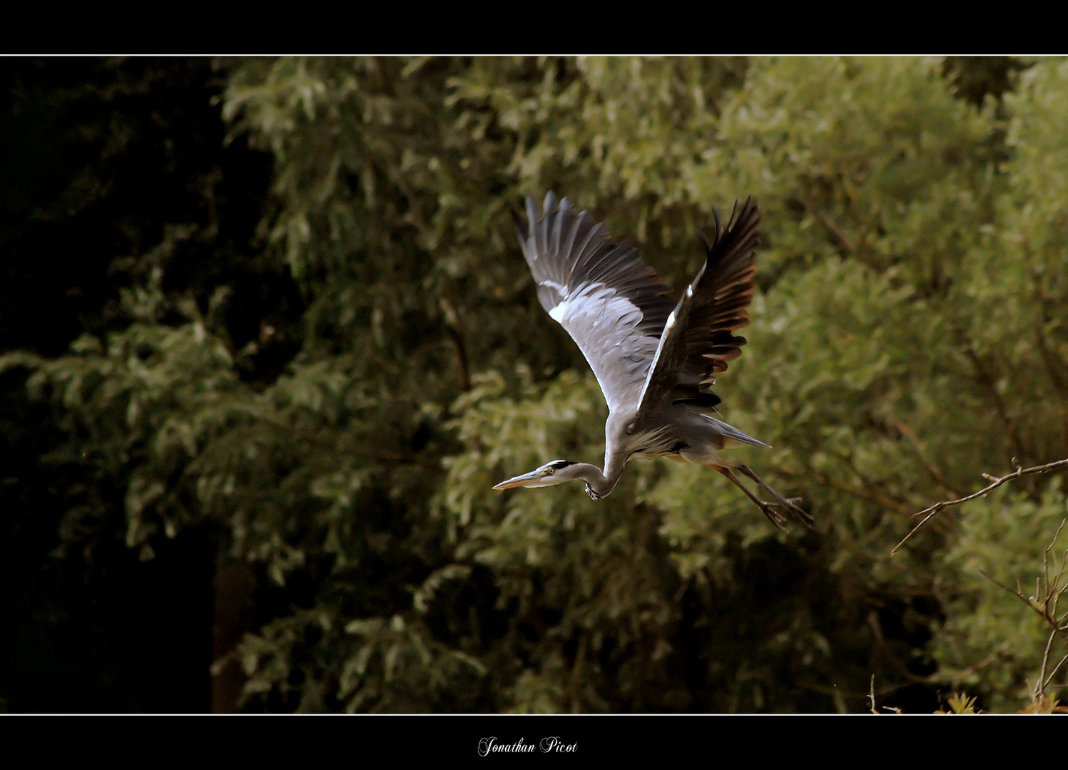 ...Le grand saut...