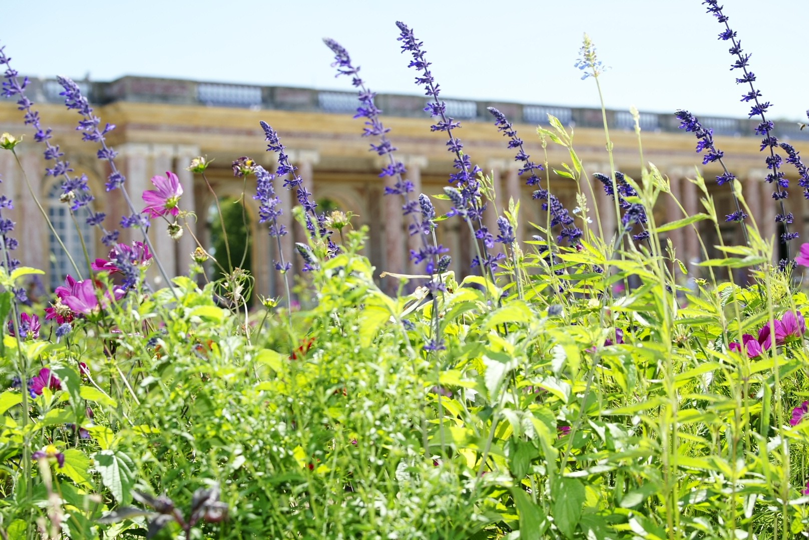 Le grand Trianon