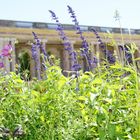 Le grand Trianon