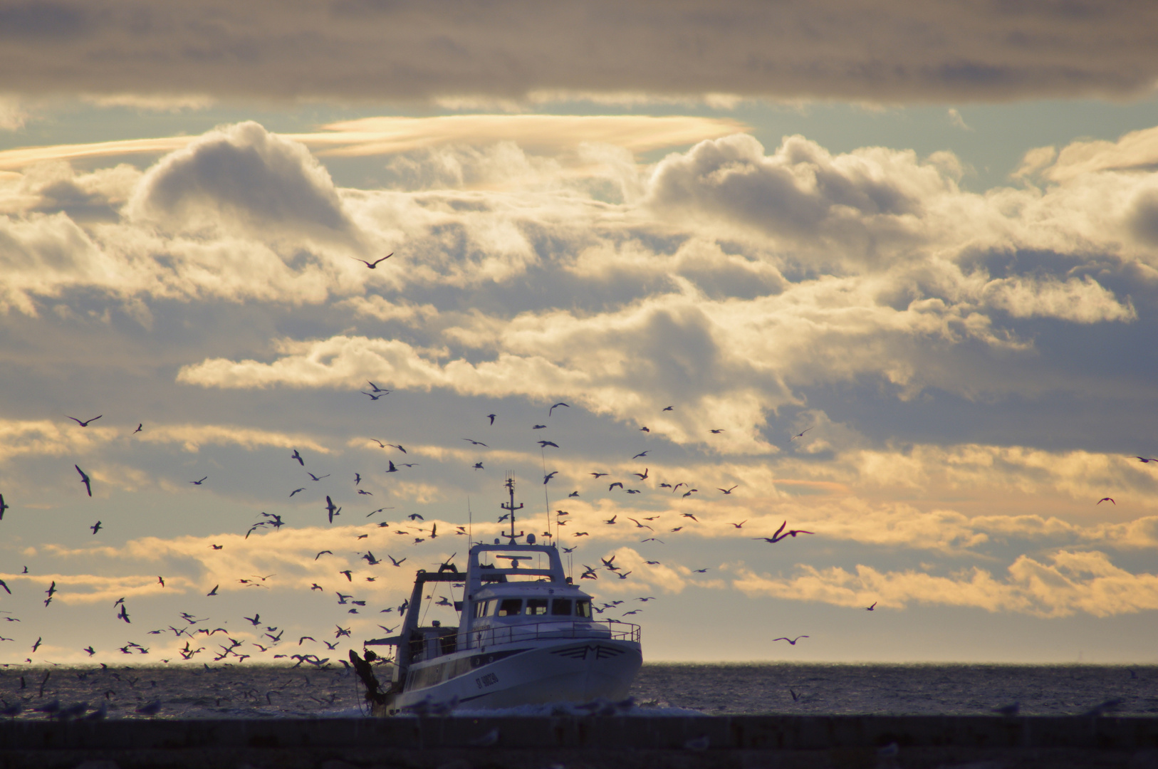 Le Grau du Roy ..... Retour de pêche