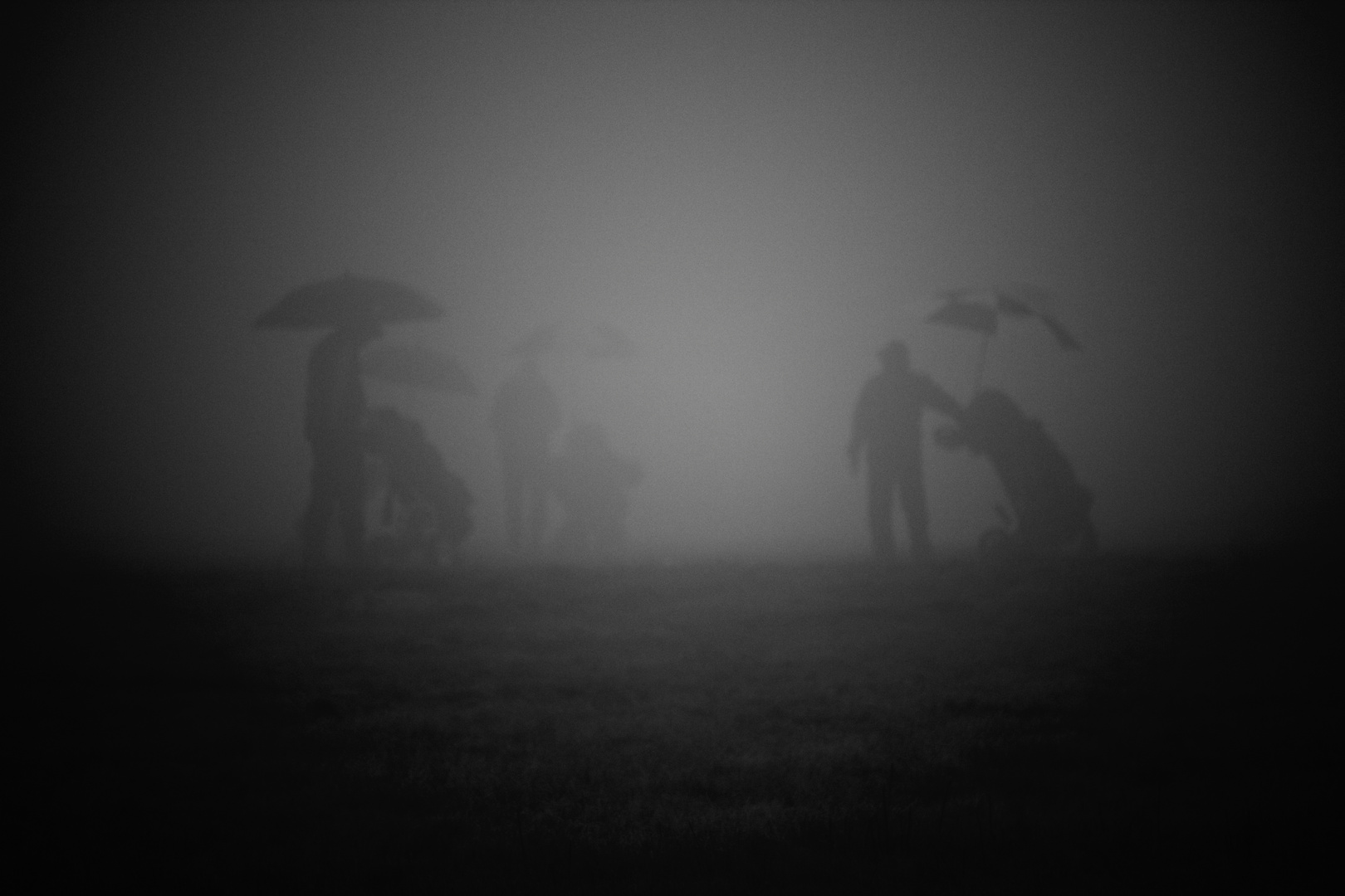 Le green dans le brouillard - Etretat 