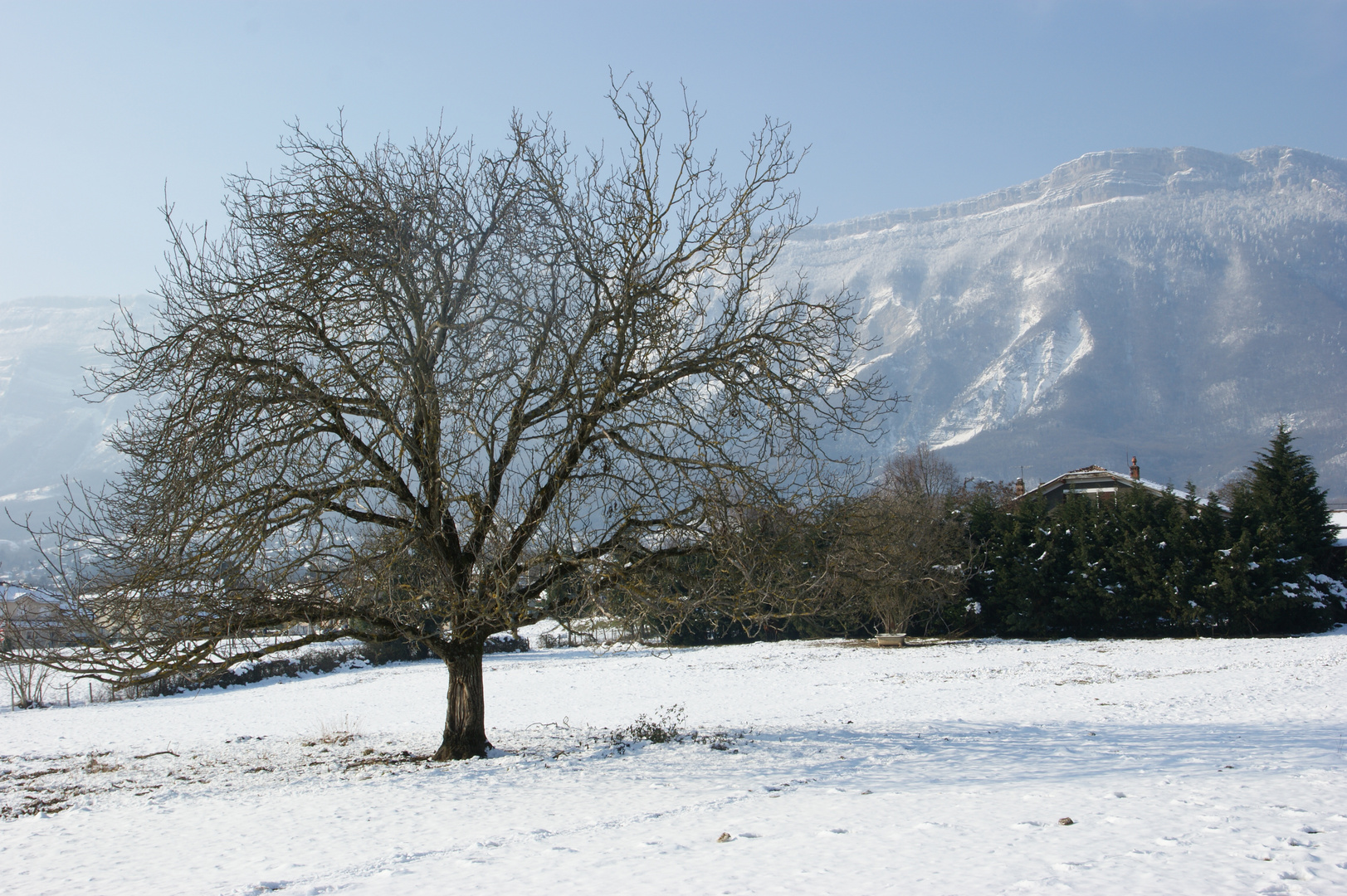 Le Grésivaudan sous la neige