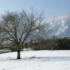 Le Grésivaudan sous la neige