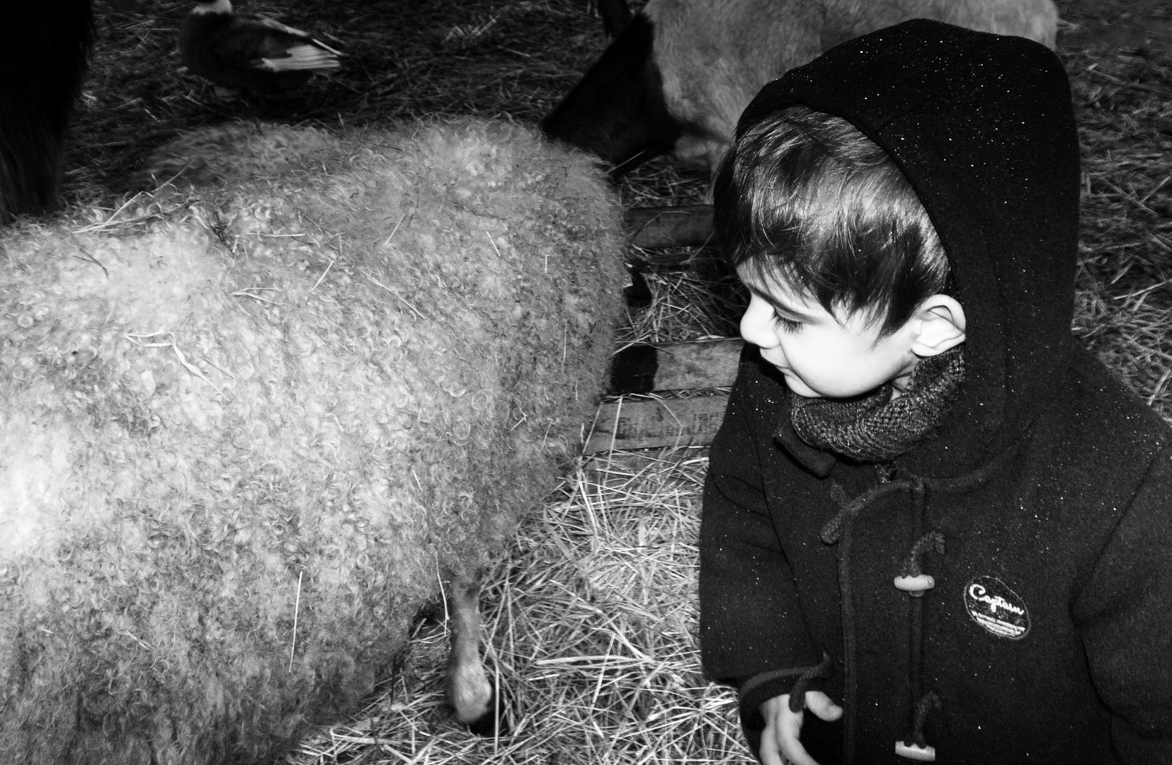 Le gros doudou 