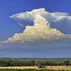 le gros nuage