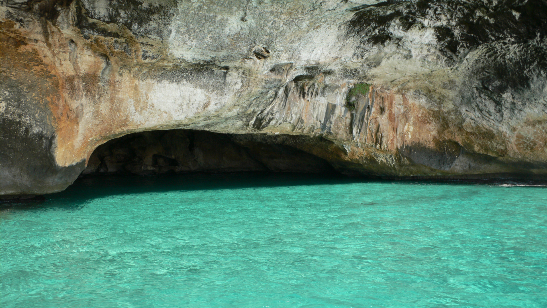 Le grotte del bue marino