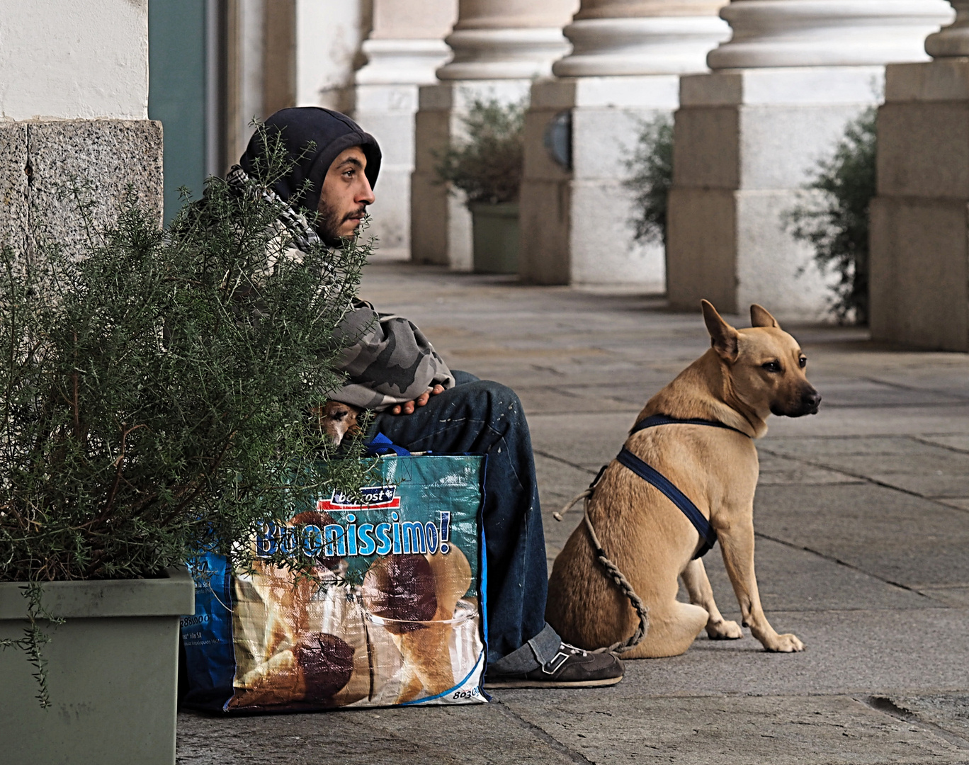 le guardie della stazione