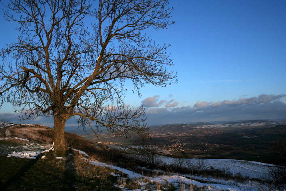 Le Guetteur