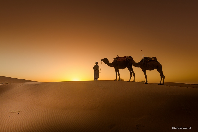 le guide du sahara...