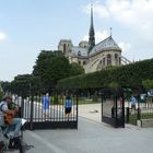 le guitariste de Notre Dame de Paris