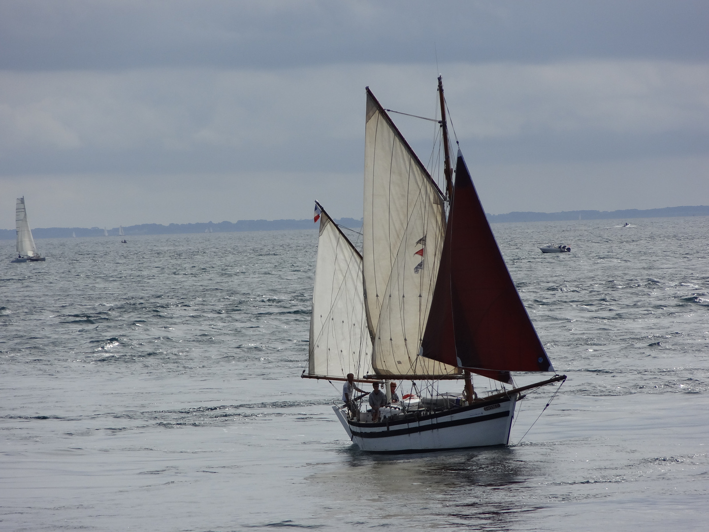 Le Gwened: un sinago dans l'entrée du Golge du Morbihan