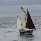 Le Gwened: un sinago dans l'entrée du Golge du Morbihan