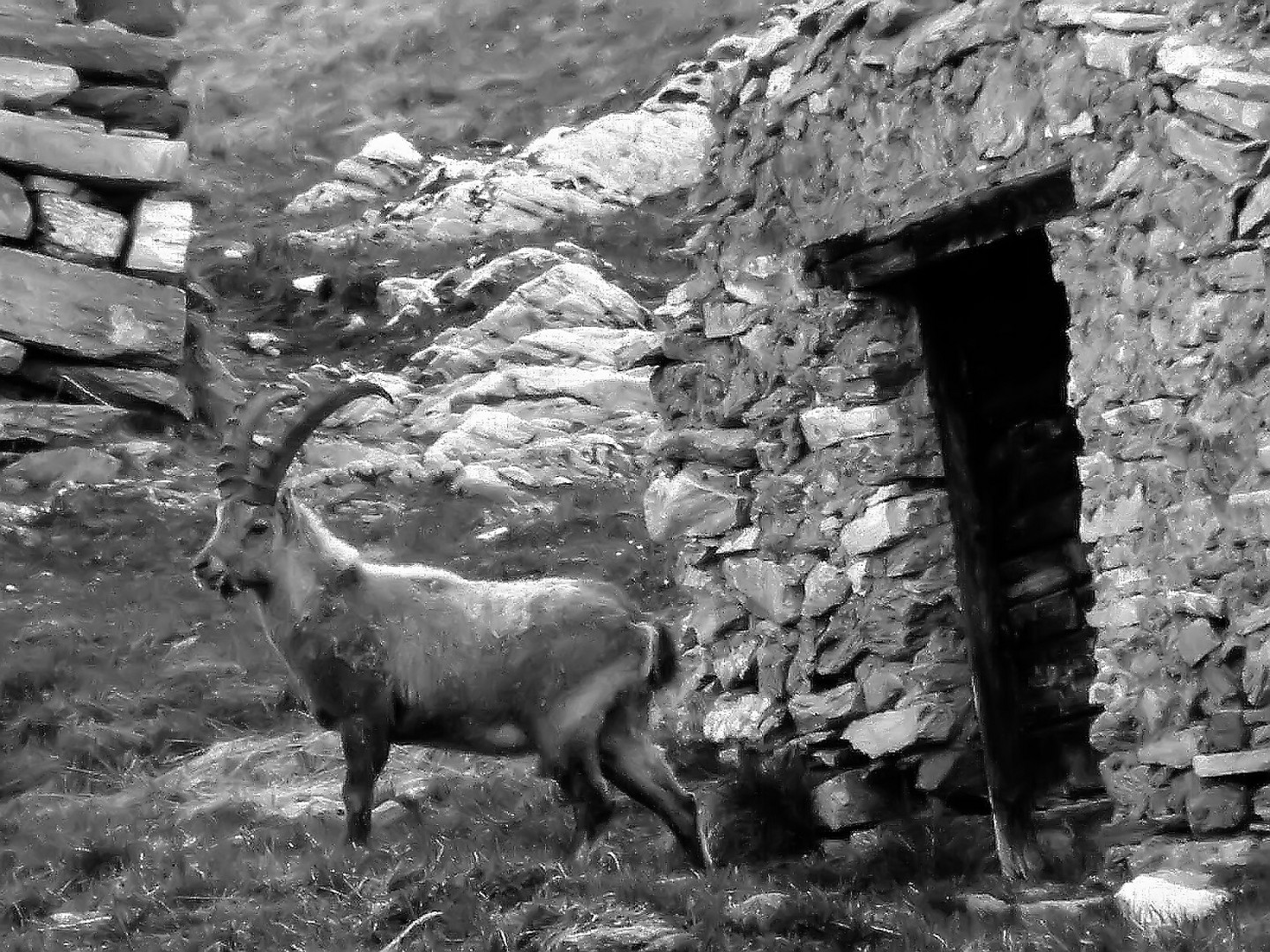 Le Hameau du Saut à nouveau habité