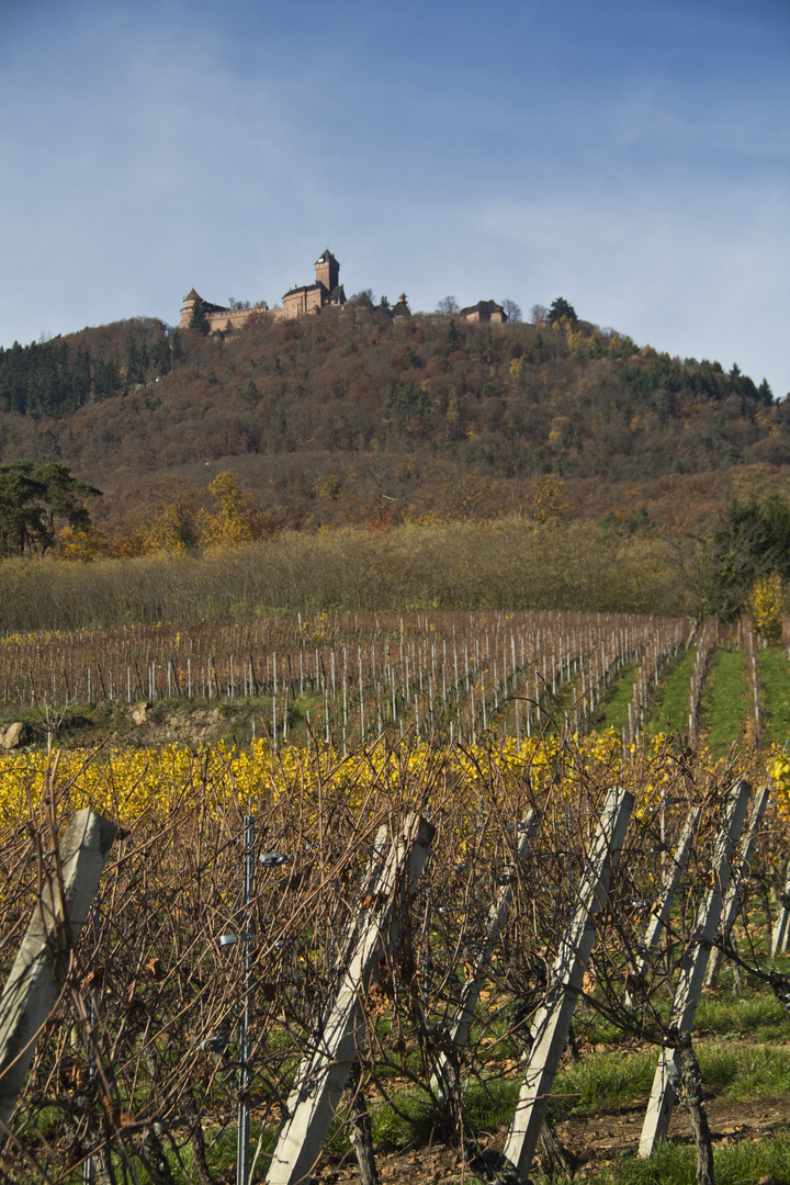 Le Haut-Koenigsbourg dans son écrin automnal