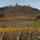 Le Haut-Koenigsbourg dans son écrin automnal