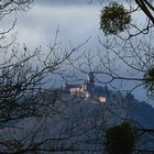 Le Haut Koenigsbourg vu depuis la plaine