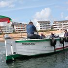 ÎLE HELGOLANG Mer du Nord ALLEMAGNE  / NORDSEE DEUTSCHLAND