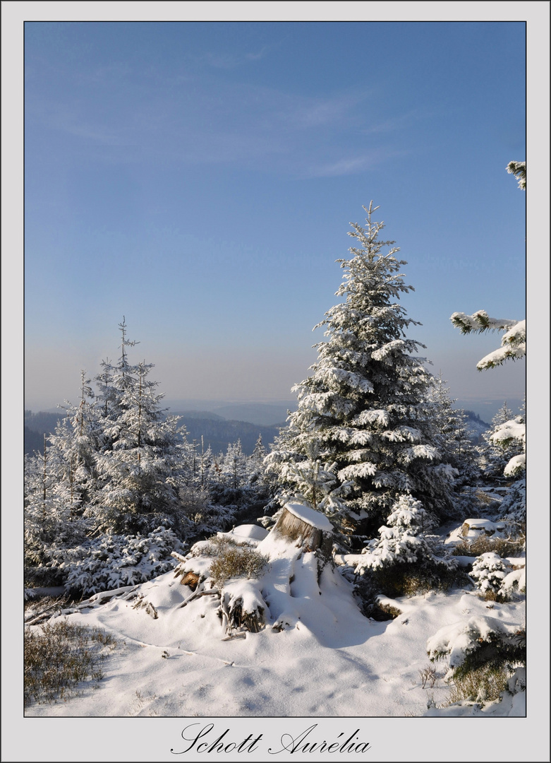 Le "Hengst" aux pieds des Vosges