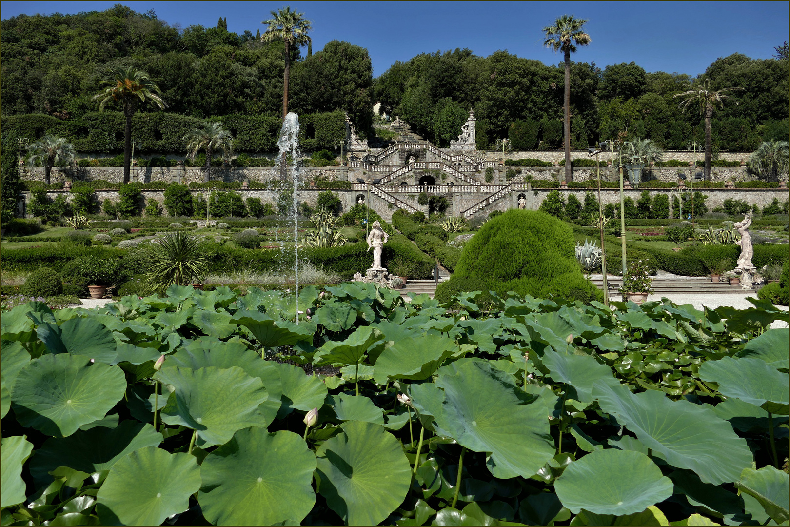 le Jardin à l italienne....