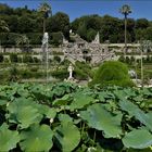 le Jardin à l italienne....