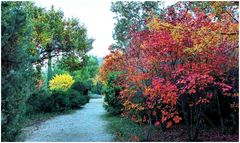 Le jardin aux couleurs