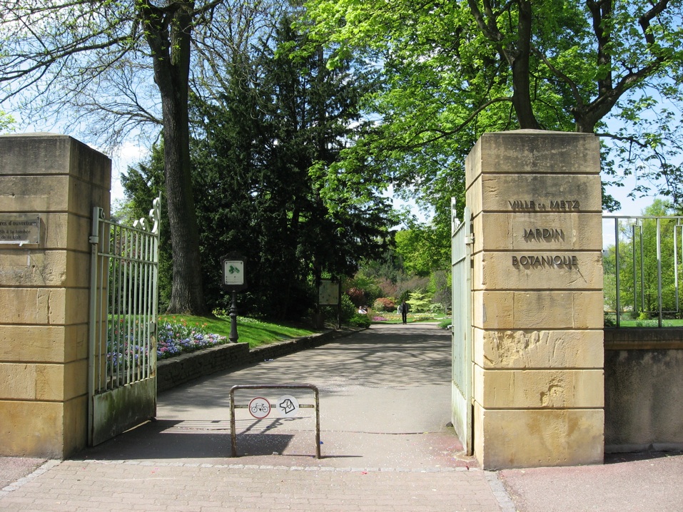 Le jardin botanique 1