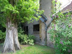 Le jardin botanique 10