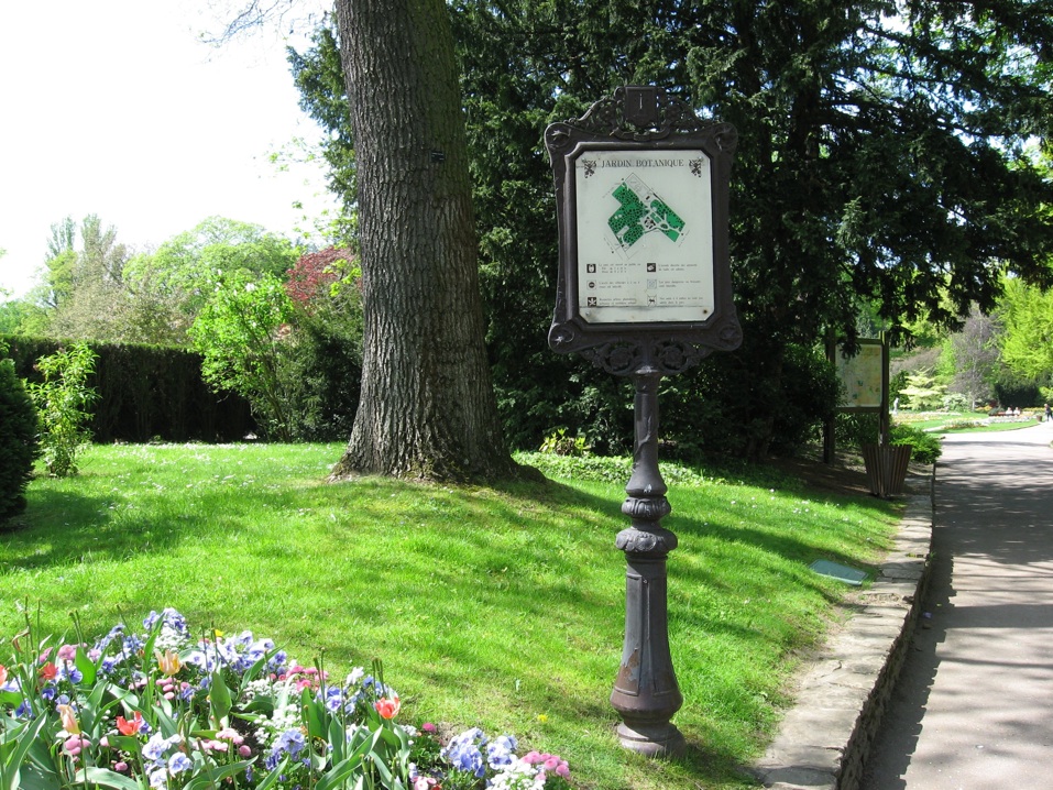 Le jardin botanique 2