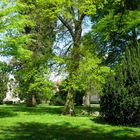 Le jardin botanique 41